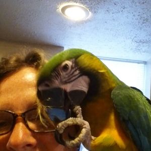 Meet your Posher, Karen